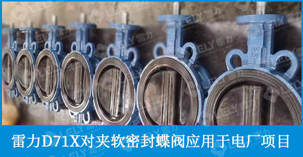 雷力D71X對夾軟密封蝶閥
