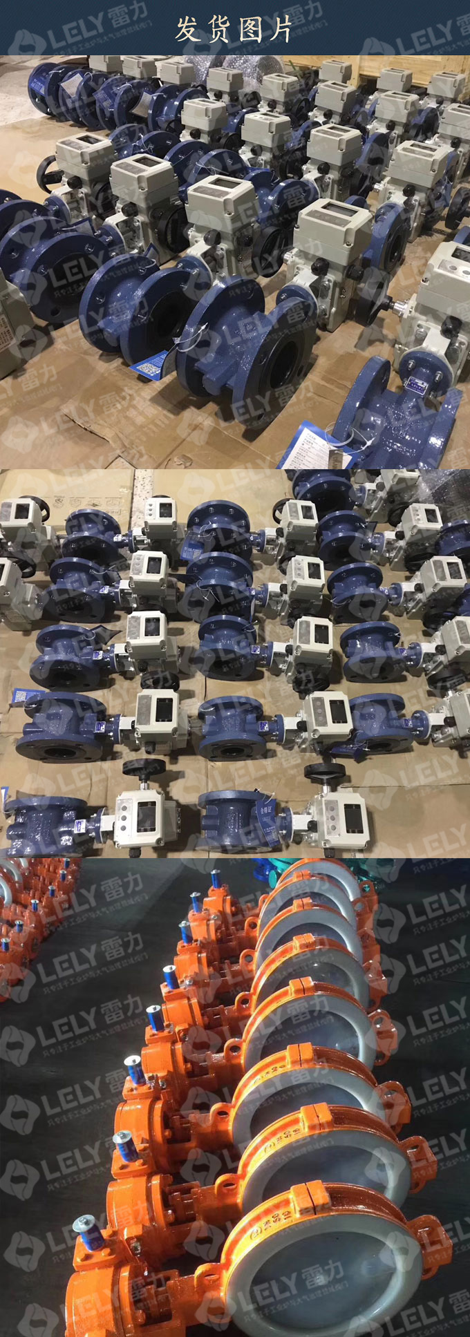 玖龍紙業(yè)（樂山）有限公司—脫硫蝶閥