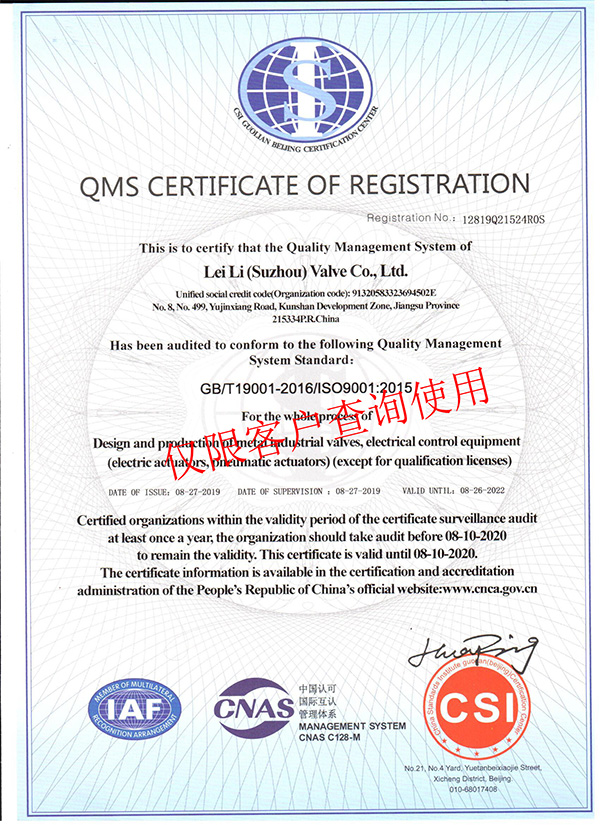 雷力閥門ISO900質(zhì)量管理體系