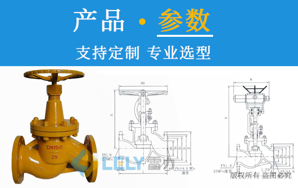 雷力氨專用截止閥