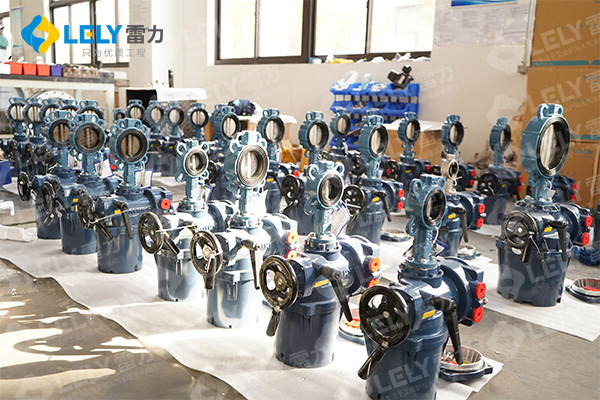 雷力1.4529脫硫蝶閥.jpg